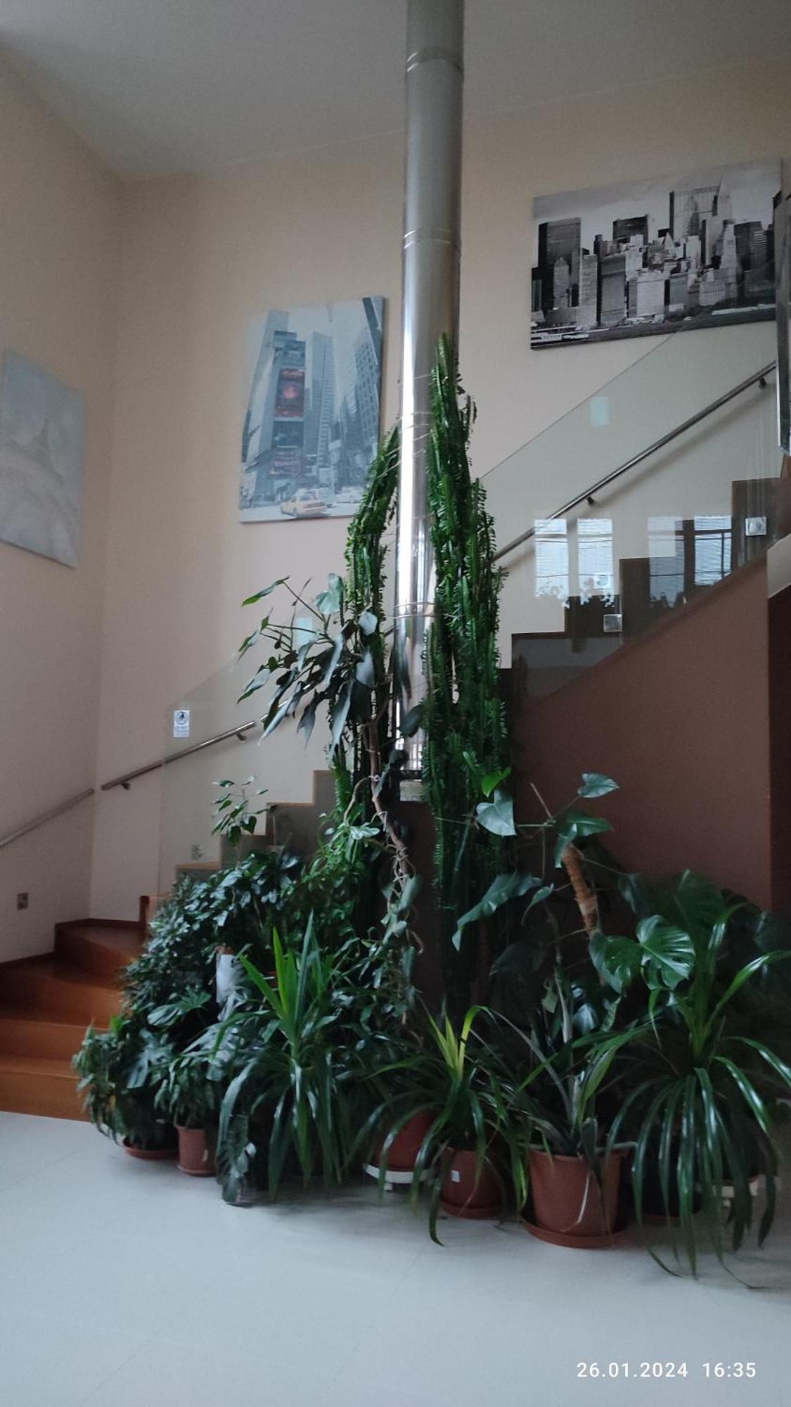 Villa Homestay Nad Helmrovkou Praha Bagian luar foto