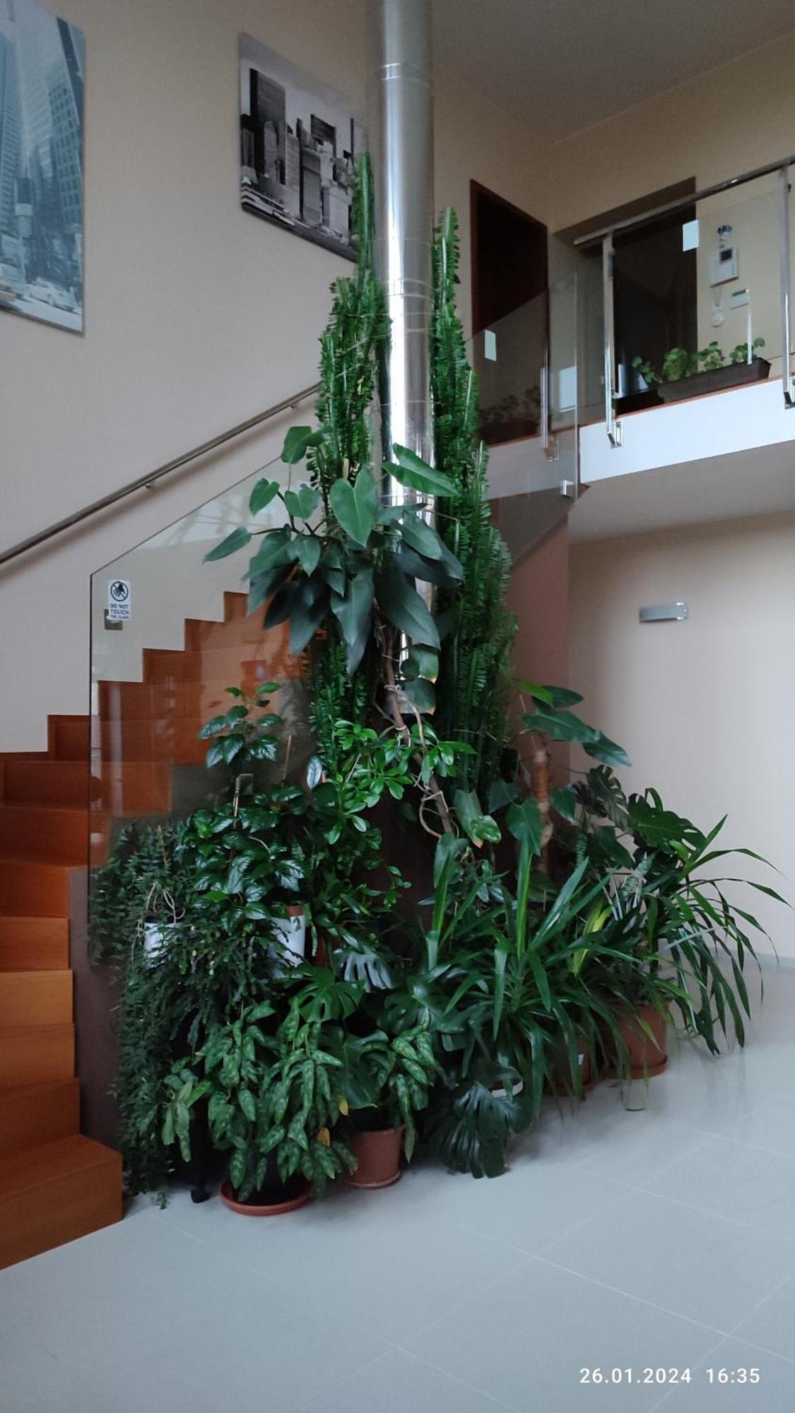 Villa Homestay Nad Helmrovkou Praha Bagian luar foto