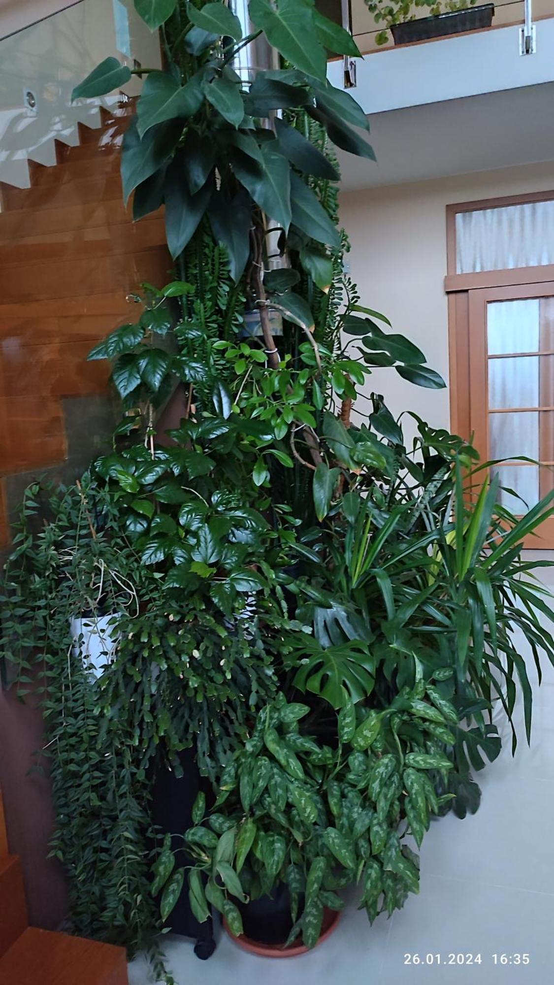 Villa Homestay Nad Helmrovkou Praha Bagian luar foto